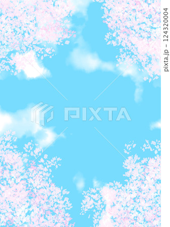 背景　見上げた桜と青空 124320004