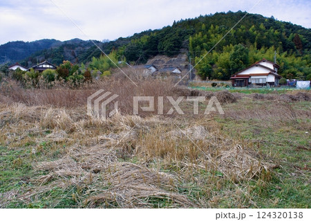 　冬枯れの農村風景 124320138