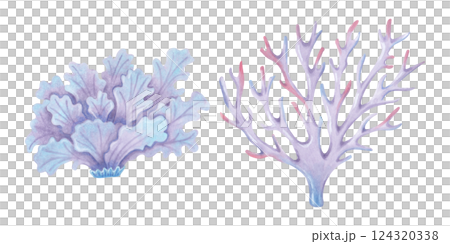Branched and salad coral. Watercolor and marker illustrations. Ocean coral reefs, underwater animals of the seabed. Hand drawn isolated art. Underwater ecosystem of exotic nature for travel guides 124320338