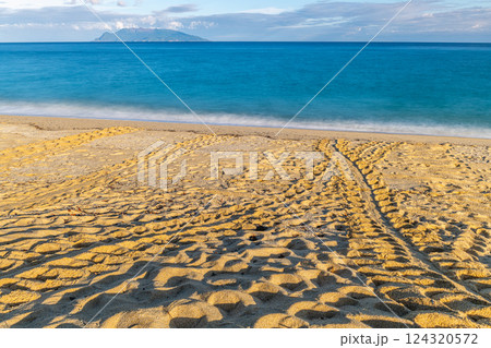 屋久島最大の海亀産卵地　永田いなか浜の夏 124320572