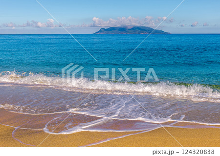 屋久島最大の海亀産卵地　永田いなか浜の夏 124320838