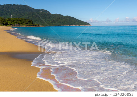 屋久島洋上アルプスの絶景(7月)海亀産卵地永田海岸いなか浜 124320853