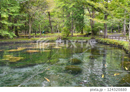 さかなと森の観察園 （栃木県日光市） 124320880