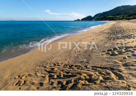 屋久島洋上アルプスの絶景(7月)海亀産卵地永田海岸いなか浜 124320919