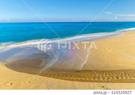 屋久島最大の海亀産卵地　永田いなか浜の夏 124320927