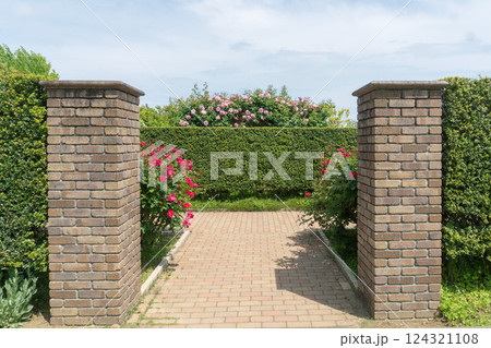 バラが咲き始めたバラ園の入り口【花菜ガーデン】神奈川県平塚市・6月 124321108