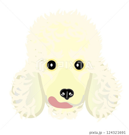 クリーム色のプードルの顔イラスト クリーム色のプードルの顔イラスト 124321691