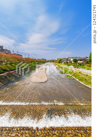 春の京都 鴨川デルタ付近の高野川 春の京都 鴨川デルタ付近の高野川 124321745
