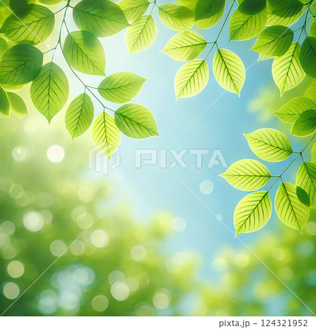 やさしい光と新緑の葉 ― ナチュラルで爽やかな背景 やさしい光と新緑の葉 ― ナチュラルで爽やかな背景 124321952