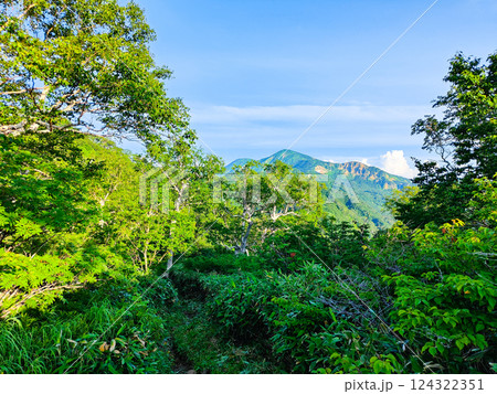夏の火打山・妙高山登山（大倉乗越から望む火打山） 124322351