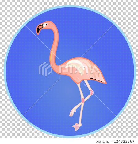 フラミンゴの円形飾り枠イラスト 124322367