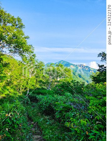 夏の火打山・妙高山登山（大倉乗越から望む火打山） 124322370