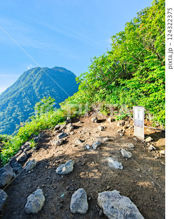 夏の火打山・妙高山登山（大倉乗越から望む妙高山） 124322375