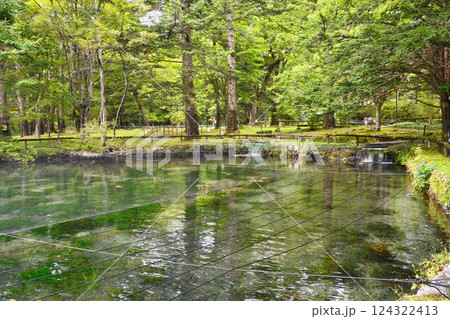さかなと森の観察園 (栃木県日光市) さかなと森の観察園 (栃木県日光市) 124322413