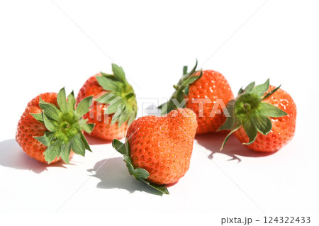 いちご（桃薫） 124322433