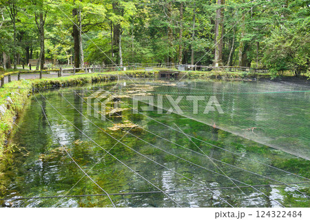 さかなと森の観察園 （栃木県日光市） 124322484