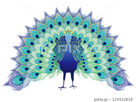 美しいクジャク 124322619