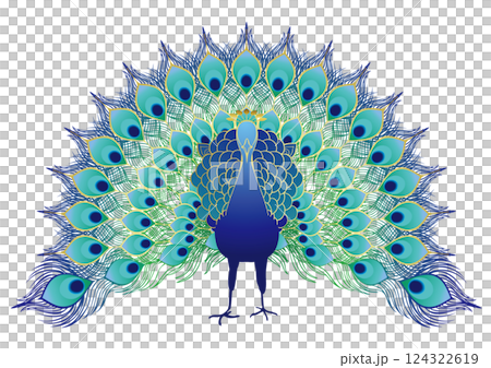 美麗的孔雀 美麗的孔雀 124322619