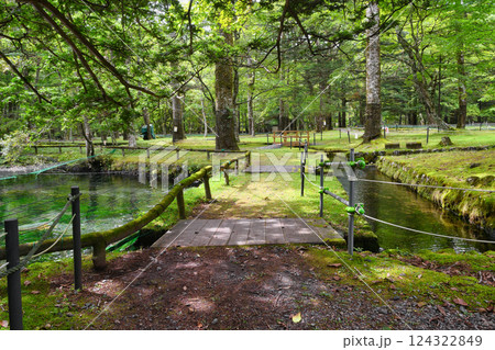 さかなと森の観察園 (栃木県日光市) さかなと森の観察園 (栃木県日光市) 124322849