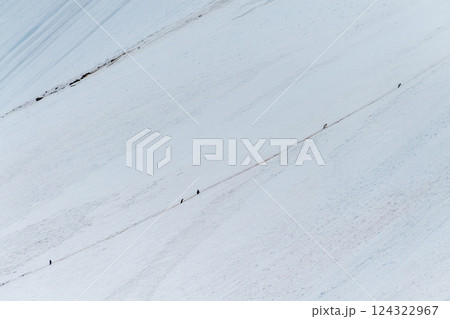 Gentoo Penguins in Antarctica Gentoo Penguins in Antarctica 124322967