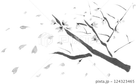桜散るモノクロイラスト 124323465