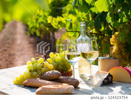 Still life with wine, grapes and cheese at table in vineyards 124323754