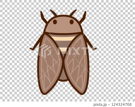 Insect_Cicada_Main line normal 124324708