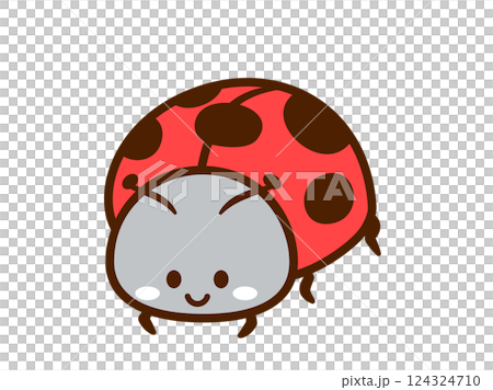 Insect_Ladybug_Main line normal 124324710