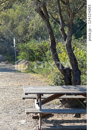 Path, table and bench at top of mountain. Nature and pine trees. Landscape of Mediterranean Sea. Hiking, tourism and vacation.  124324865