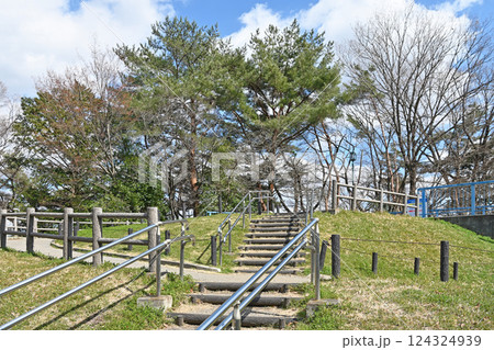 八幡山公園の小高い丘 124324939