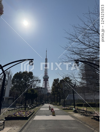 芝公園から東京タワー 124325853