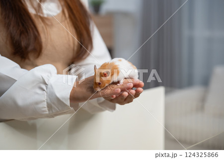 Adorable pet hamster exploring new surroundings while being gently held by a caregiver in a cozy and warm indoor setting focused on companionship and love Adorable pet hamster exploring new surroundings while being gently held by a caregiver in a cozy and warm indoor setting focused on companionship and love 124325866
