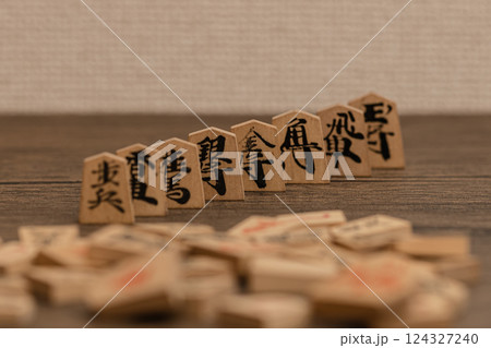 将棋の駒全種類を立てて並べている　力の関係を視覚化している 124327240