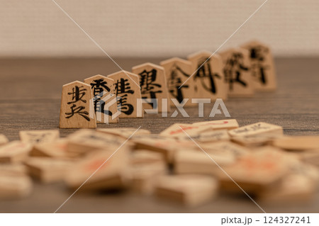 将棋の駒全種類を立てて並べている 力の関係を視覚化している 将棋の駒全種類を立てて並べている 力の関係を視覚化している 124327241
