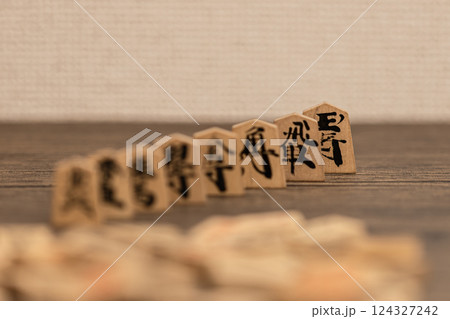 将棋の駒全種類を立てて並べている 力の関係を視覚化している 将棋の駒全種類を立てて並べている 力の関係を視覚化している 124327242