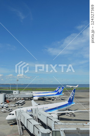 朝の羽田空港 124327369