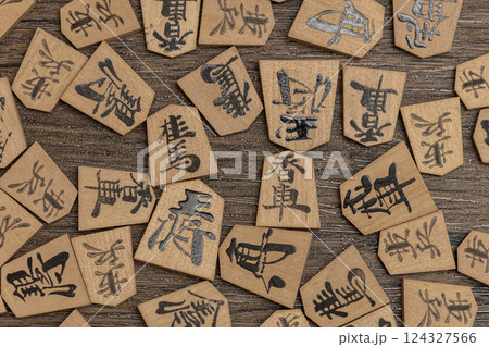 ばらばらに散らばっている将棋の駒を俯瞰している ばらばらに散らばっている将棋の駒を俯瞰している 124327566