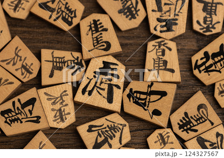 ばらばらに散らばっている将棋の駒を俯瞰している ばらばらに散らばっている将棋の駒を俯瞰している 124327567