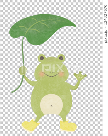 Boots Frog 124327670