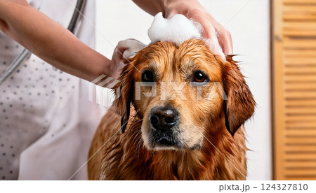 シャンプーされる犬(AI生成画像) シャンプーされる犬(AI生成画像) 124327810