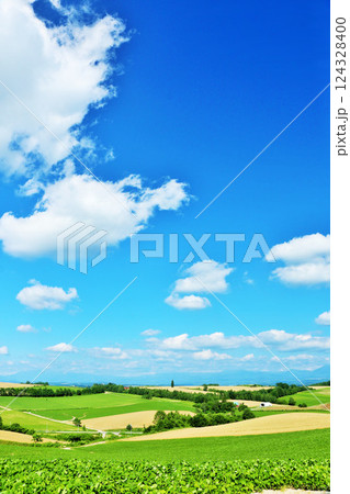 北海道 夏の青空と美瑛の風景 北海道 夏の青空と美瑛の風景 124328400