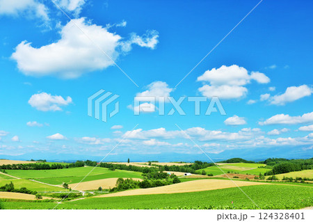 北海道　夏の青空と美瑛の風景 124328401