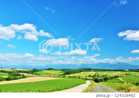 北海道 夏の青空と美瑛の風景 北海道 夏の青空と美瑛の風景 124328402