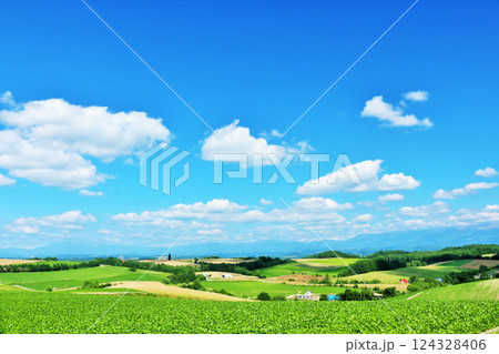 北海道　夏の青空と美瑛の風景 124328406
