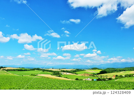 北海道 夏の青空と美瑛の風景 北海道 夏の青空と美瑛の風景 124328409
