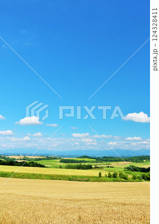 北海道 夏の青空と美瑛の風景 北海道 夏の青空と美瑛の風景 124328411