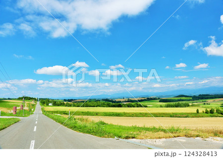 北海道　夏の青空と美瑛の風景 124328413