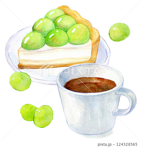 水彩イラスト マスカットタルトのセットメニュー 水彩イラスト マスカットタルトのセットメニュー 124328565