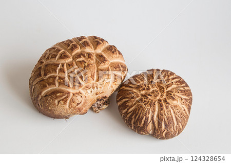 朝採れシイタケ 124328654