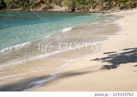 コペペ海岸　小笠原　東京都 124329762